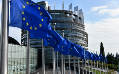 Le SEEEI : cadre, enjeux et logiques de coopération européenne